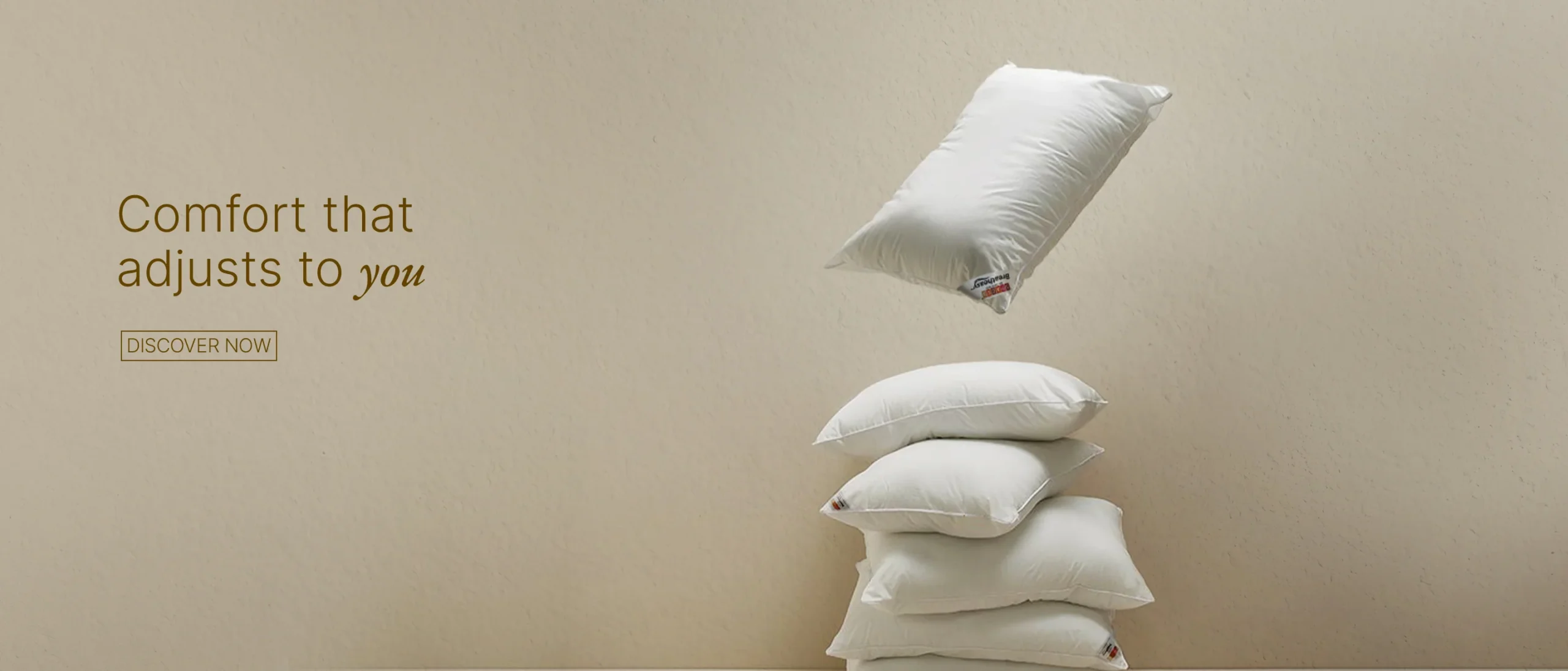 pillow 2880 x 1234 px2